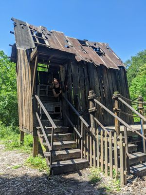 Couturie Forest by null