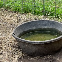 Sandy Hill Farm - Dirty water