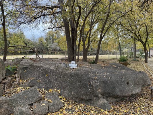 The Antlers Inn by null