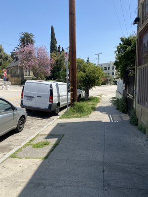 Bob's Market by null