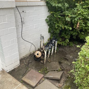 BelleVue Oasis - Stagnant water and electrical cables. Mosquitoes and larvae in water. - Hotels Near Me - Palm Springs, California
