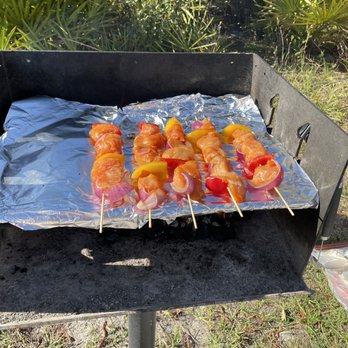Colt Creek State Park - BBQ grill - Parks Near Me - Lakeland, Florida