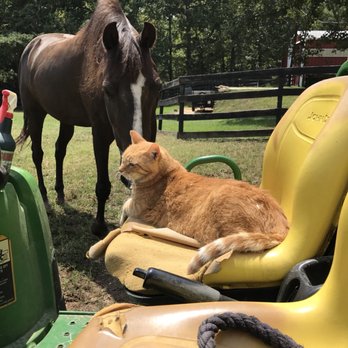 Summit Equine Hospital - Veterinarians Near Me - Apex, North Carolina Summit Equine Hospital - Veterinarians Near Me - Apex, North Carolina