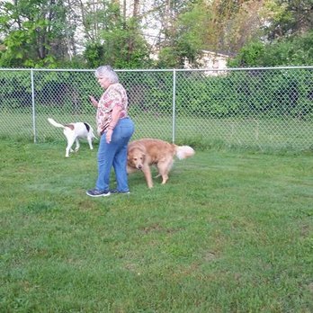 Pony Express Kennels - Pet Sitting Near Me - Waverly, New York