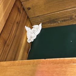 Sat in a dirty booth