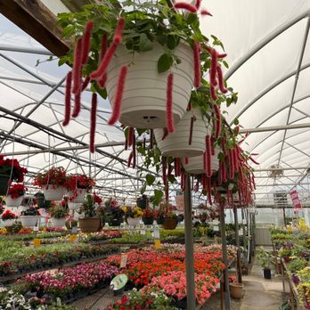 PLANT MASTERS OF SUTTONS BAY - Updated June 2026 - 2650 SW Bay Shore Dr,  Suttons Bay, Michigan - Nurseries & Gardening - Phone Number - Yelp
