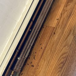 Elite Pest Solutions - We had never seen activity but this humidity we needed service fast elite is great