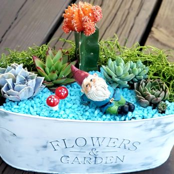 Plant & Sip - Fairy Gardens! - Party & Event Planning Near Me Plant & Sip - Fairy Gardens! - Party & Event Planning Near Me