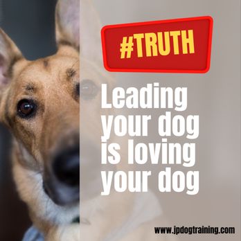 JP Dog Training - Pet Training Near Me JP Dog Training - Pet Training Near Me