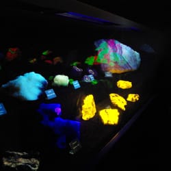 Museum für Naturkunde - Interessante Leuchteffekte von Gesteinen in der "Dunkelkammer"