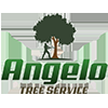 Angelo Tree Service - Tree Services Near Me - Danbury, Connecticut
