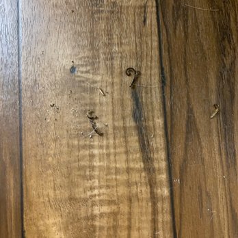 Dayrise Residential - bug infestation - Property Management Near Me - Houston, Texas Dayrise Residential - bug infestation - Property Management Near Me - Houston, Texas