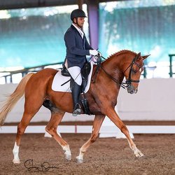 Caspian Equest