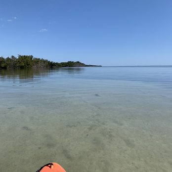 Long Key State Park - juvenile hammerhead! - Parks Near Me - Layton, Florida