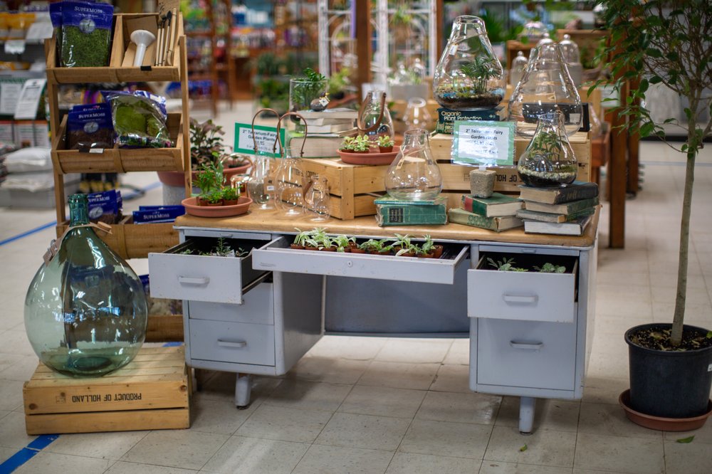 JUNG GARDEN CENTER Updated October 2024 16 Photos 5620 US Highway 10 E, Stevens Point