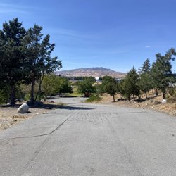 If you look closely you can see the beginnings of the community who live here.