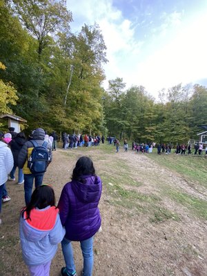 Kelso Conservation Area by null