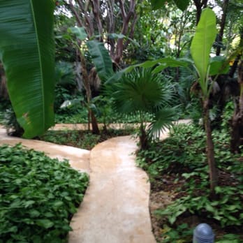 Don Diego de la Selva - Jungle like walk way to our room - Hotels Near Me - Tulum, ROO