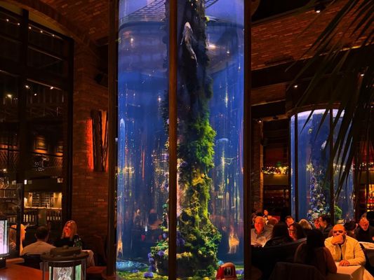 Waterbar Restaurant by null