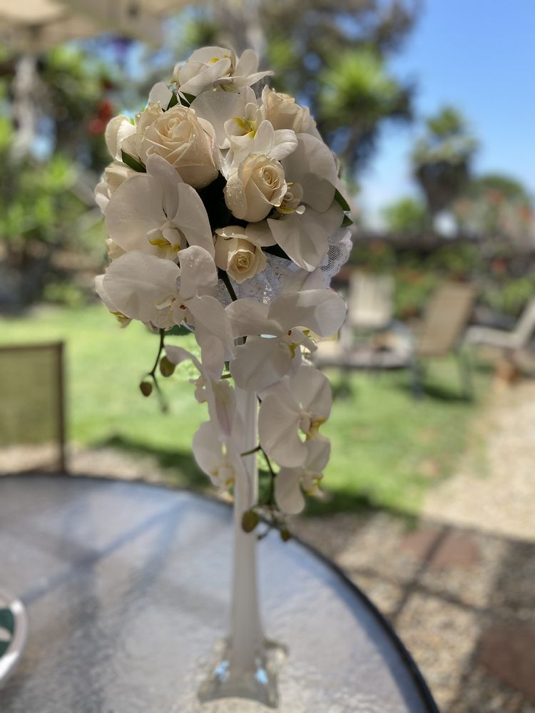 THE HUMMINGBIRD Updated June 2024 40 Photos & 48 Reviews 905 E