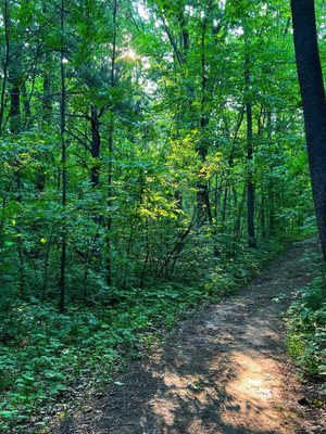 Devil's Lake State Park by null