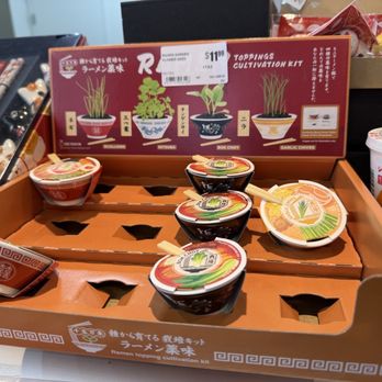 Sakura Market - Tiny adorable plants - Convenience Stores Near Me - San Jose, California Sakura Market - Tiny adorable plants - Convenience Stores Near Me - San Jose, California