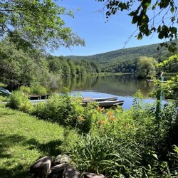 Susan's Pleasant Pheasant Farm - Sun is shining!