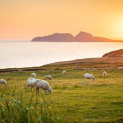 Benny's Ireland Vacations