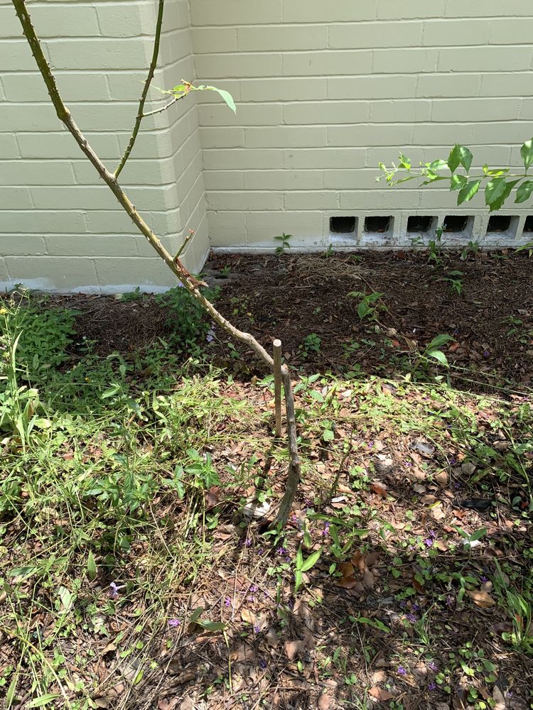 Slide of Godwin Green Roofing