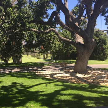 The Oak - The view - American Near Me - Ojai, California