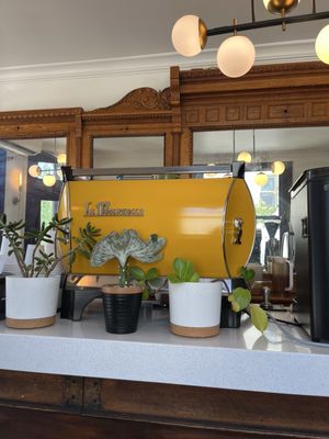 Rowhome Coffee - Pine Street by null