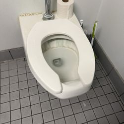 Staples - Stained toilet