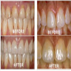 William J Geyer, DDS