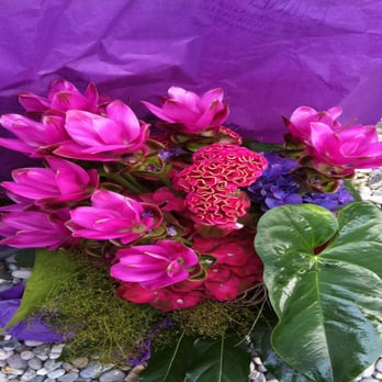 Blumenfenster - Florists Near Me - Dachau, BY Blumenfenster - Florists Near Me - Dachau, BY