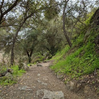 Santa Margarita River Trail - Hiking Near Me - Fallbrook, California Santa Margarita River Trail - Hiking Near Me - Fallbrook, California
