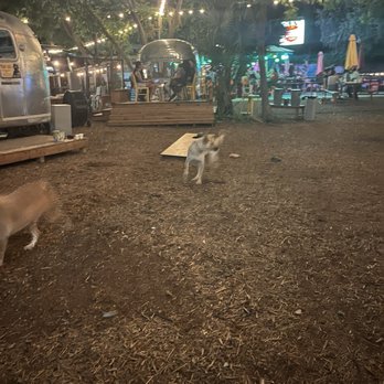Hops & Hounds - Food truck area and bar - Dog Parks Near Me - San Antonio, Texas