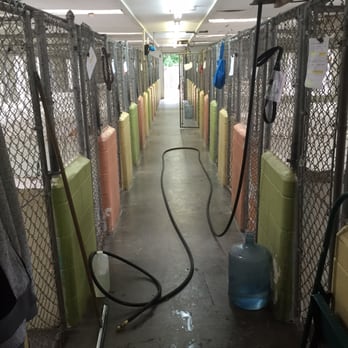 Arcade Creek Kennels - Pet Sitting Near Me - Sacramento, California Arcade Creek Kennels - Pet Sitting Near Me - Sacramento, California
