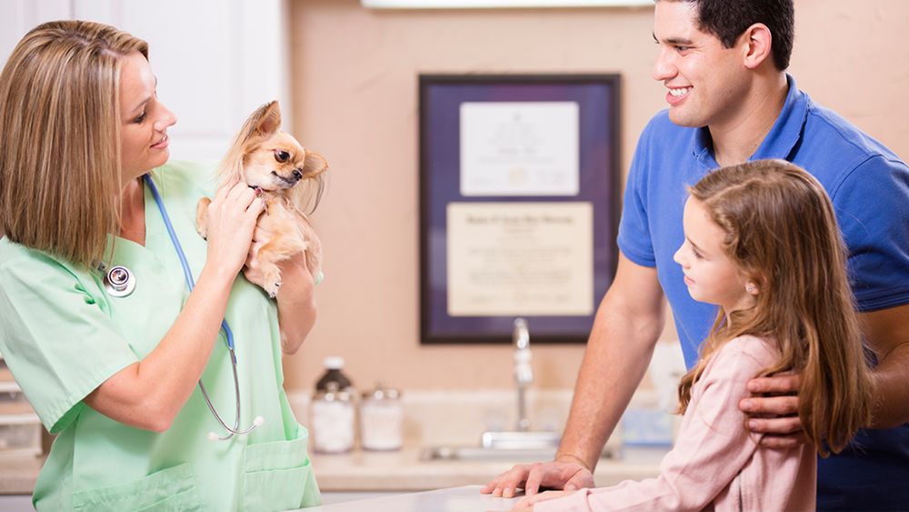 Estero Animal Hospital Image