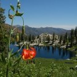 Trinity Mountain Meadow Resort