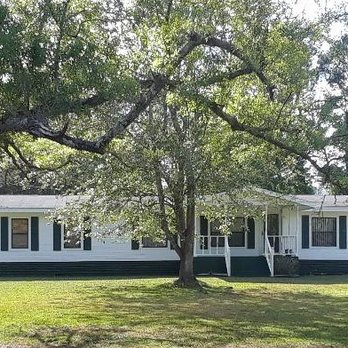 Sharper Image Lawn Care - a white house with a large tree in front of it - Lawn Services Near Me - Jacksonville, Florida Sharper Image Lawn Care - a white house with a large tree in front of it - Lawn Services Near Me - Jacksonville, Florida