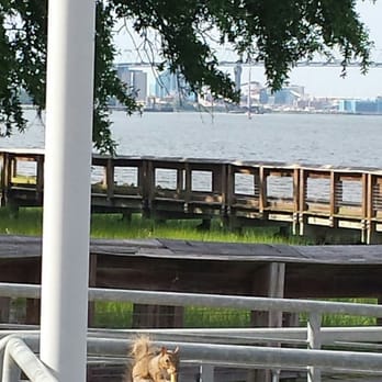 Riverfront Park - It was really cool watching this squirrel eating a french fry.  This is definitely a great place to pause and appreciate life. - Parks Near Me - North Charleston, South Carolina