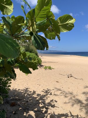 ʻEhukai Beach Park by null