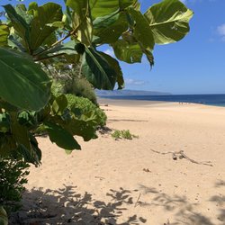 Ehukai Beach Park