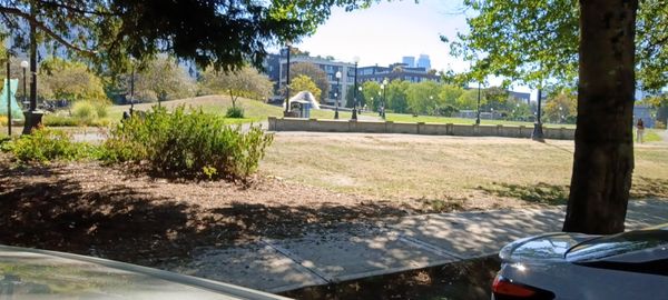 Cal Anderson Park by null