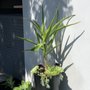 Photo of Barcelona Outdoors LLC