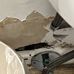 Hollywood Hills Hotel - Hole in the wall behind the toilet.