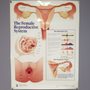 Photo of Partners In Women's Care