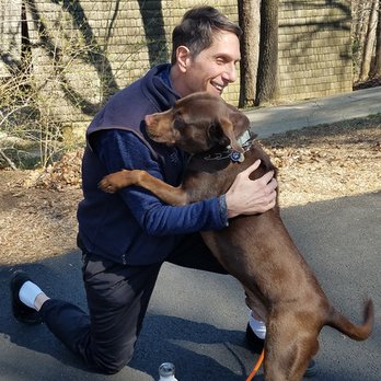 Bonafido Pet Services - Jango likes to hug! - Dog Walkers Near Me Bonafido Pet Services - Jango likes to hug! - Dog Walkers Near Me