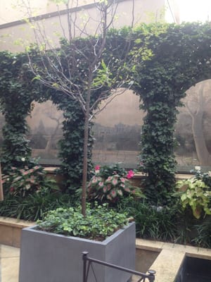 Mary Cassatt Tea Room & Garden by null
