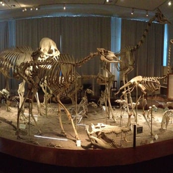 Luonnontieteellinen museo - Museums Near Me - Helsinki, 18